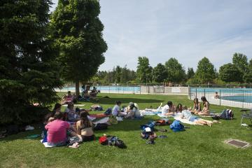 Campamento urbano