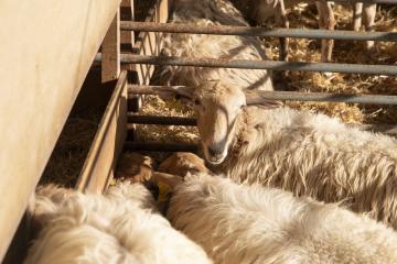 feria_autentika_parque_runa_cnb_7225.jpg