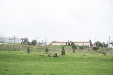 parque de las Pioneras