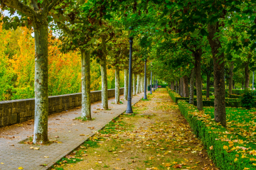 zona verde