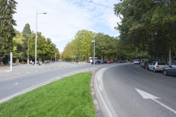Pío XII