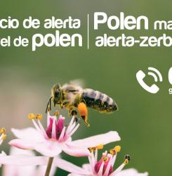 servicio polen ayuntamiento