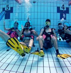 buceo
