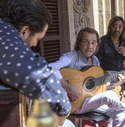flamenco