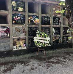 ofrenda floral