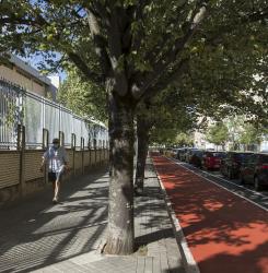 Carril bici San Jorge 