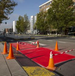 Pintura carril bici Pio XII 