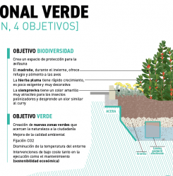 paso peatonal verde