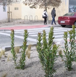 paso peatonal verde