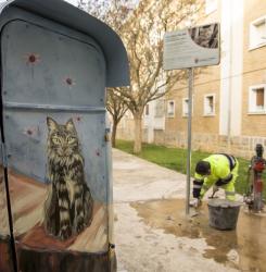 contenedores de gatos
