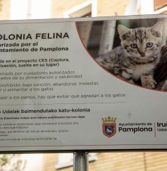 contenedores de gatos