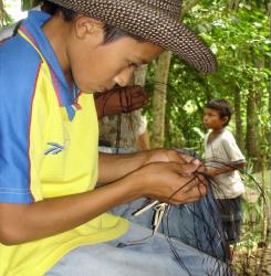 cooperación