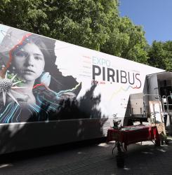 Piribus