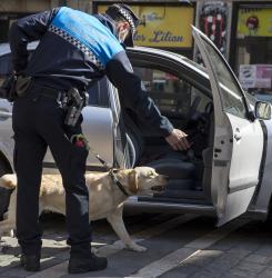 perros