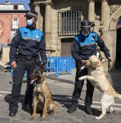 perros