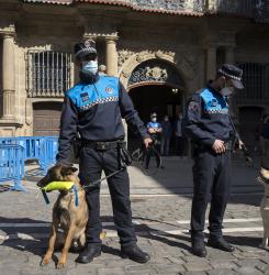 perros