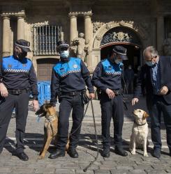 perros