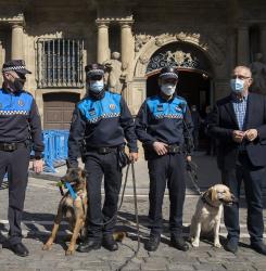 perros
