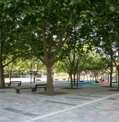 Visita obra patinódromo San Jorge 
