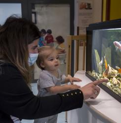 Escuela Infantil inicio de curso