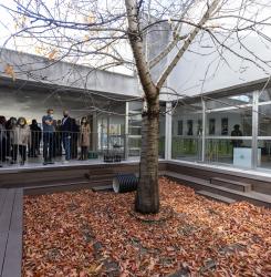 escuela