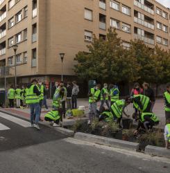 paso de cebra
