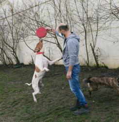 Centro de Atención a Animales 