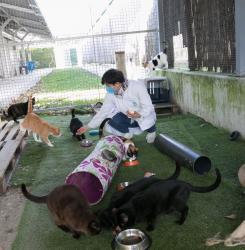Centro de Atención a Animales 