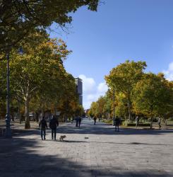 Simulación reurbanización Bosquecillo