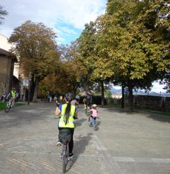 Paseos guiados en bicicleta
