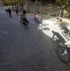 Paseos guiados en bicicleta