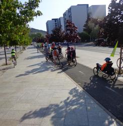 Paseos guiados en bicicleta
