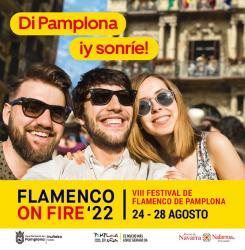 flamenco.jpg