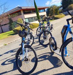bicis_foto_3.jpg