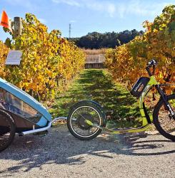bicis_foto_5.jpg