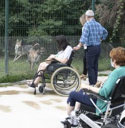 esclerosis_visita_animales_ee5a4328.jpg