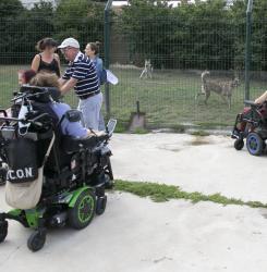 esclerosis_visita_animales_ee5a4339.jpg