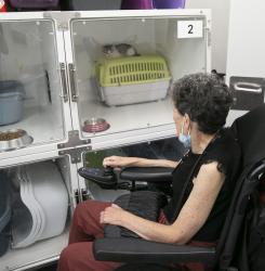esclerosis_visita_animales_ee5a4394.jpg