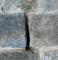 nido_pared_ciudadela1.jpg