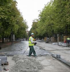 obras_bosquecillo_ee5a6314.jpg