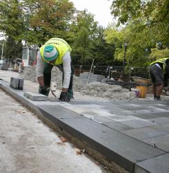 obras_bosquecillo_ee5a6315.jpg