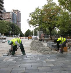 obras_bosquecillo_ee5a6321.jpg