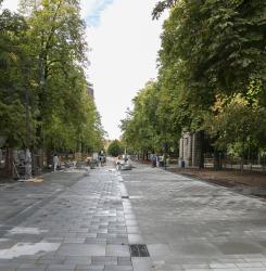obras_bosquecillo_ee5a6327.jpg