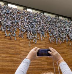 una persona sacando una foto con el móvil