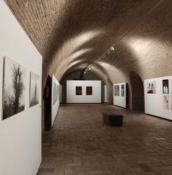 exposición áfrica