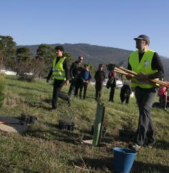 plantacion bosque en agustinos