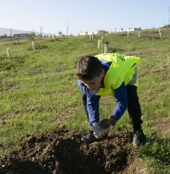 plantacion bosque en agustinos