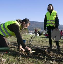 plantacion bosque en agustinos