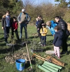 plantacion bosque en agustinos