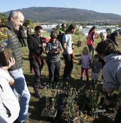 plantacion bosque en agustinos